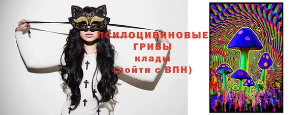 крисы Алексин