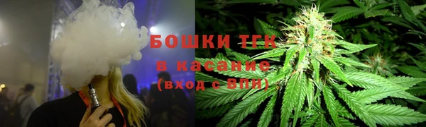 крисы Алексин