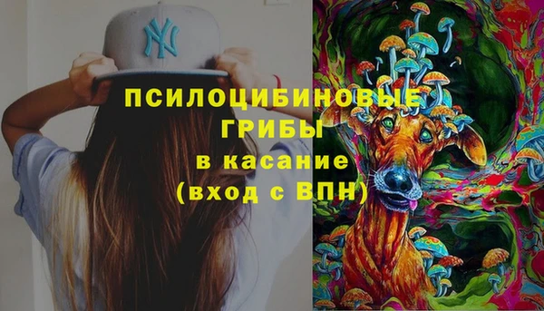 соль ск Алзамай