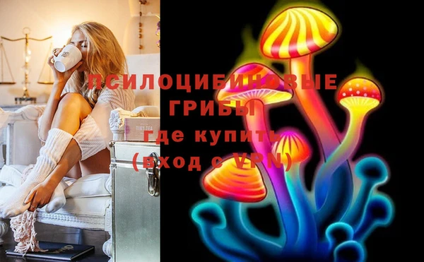 крисы Алексин