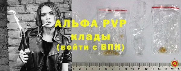 крисы Алексин