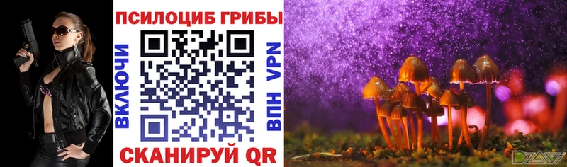 Псилоцибиновые грибы GOLDEN TEACHER  Кукмор 